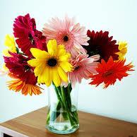 _Isaac_Nava_13's profile picture. 