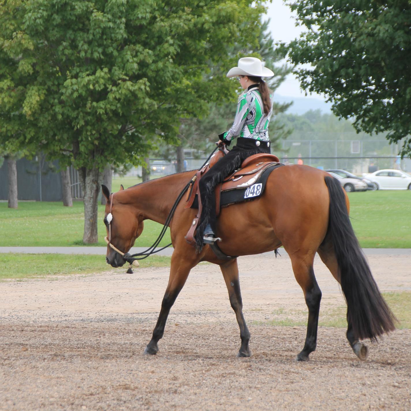My name doesn't lie! I'm from no where and I want to be big into horse showing! AQHA MQHA, Quarter horses 4 ever