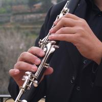 Clarinetíssim (@clarinetissim1) 's Twitter Profile