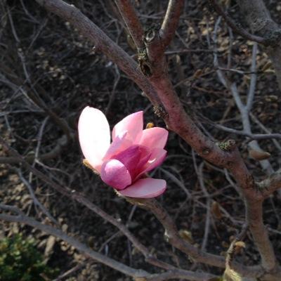 I_Kate_I's profile picture. Hi, i'm Kate. I from Odessa, UA.