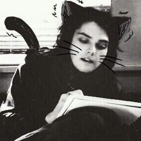 LolLol885's profile picture. 