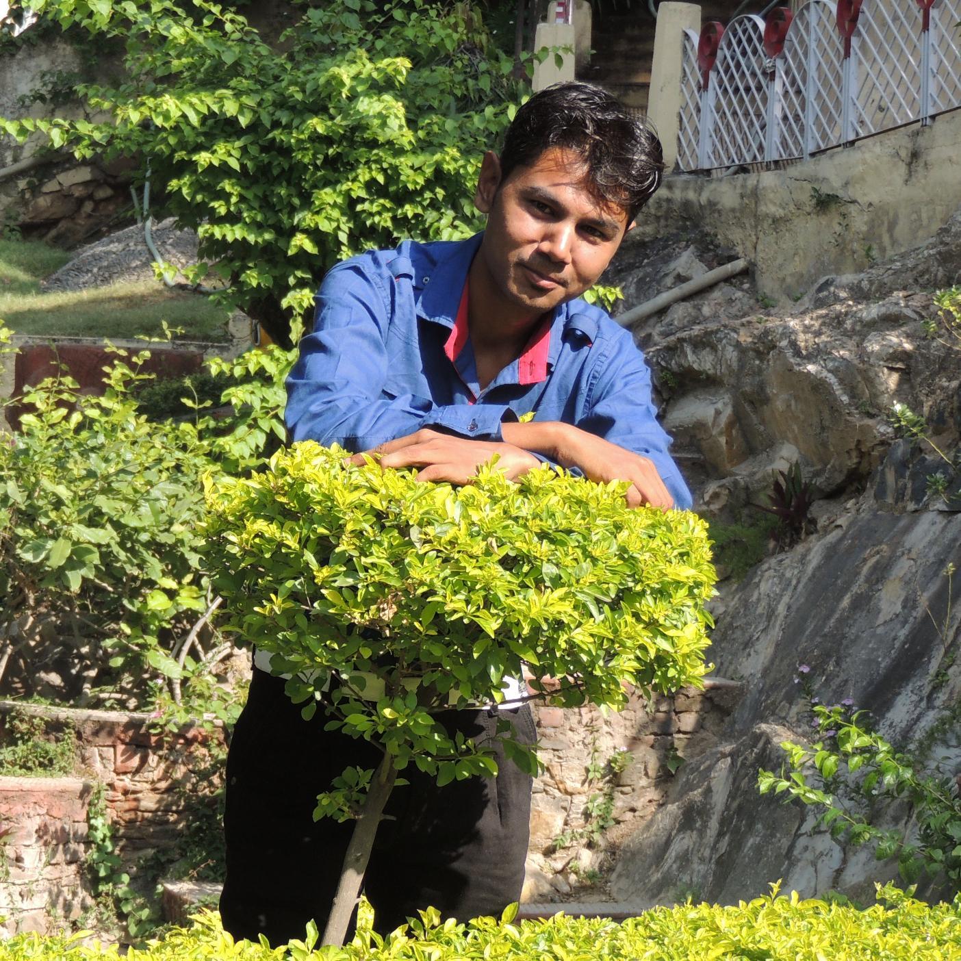Web Developer, Faculty, Dream Achiever