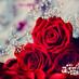 تعزيه وراسي فوق (@vinton956) Twitter profile photo تعزيه وراسي فوق (@vinton956) Twitter profile photo