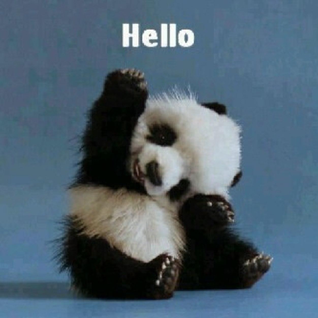 nickypantland's profile picture. Amateur performer/director and aspiring playwright and novellist. Lost in my own head most of the time, I do surface occasionally to get my theatre fix.