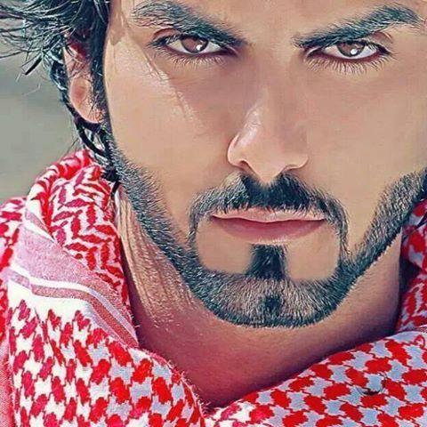 AmrCapo34's profile picture. 