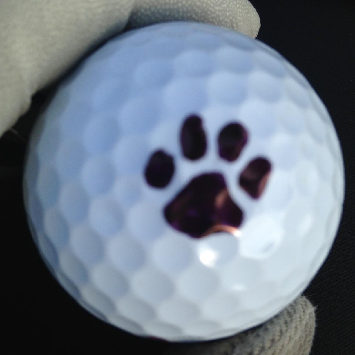 in love 4 my husband, golf and animals