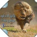 bin okail (@0100_eid) Twitter