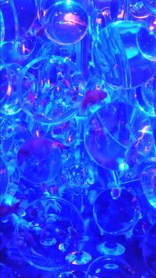 risu_holic's profile picture. 