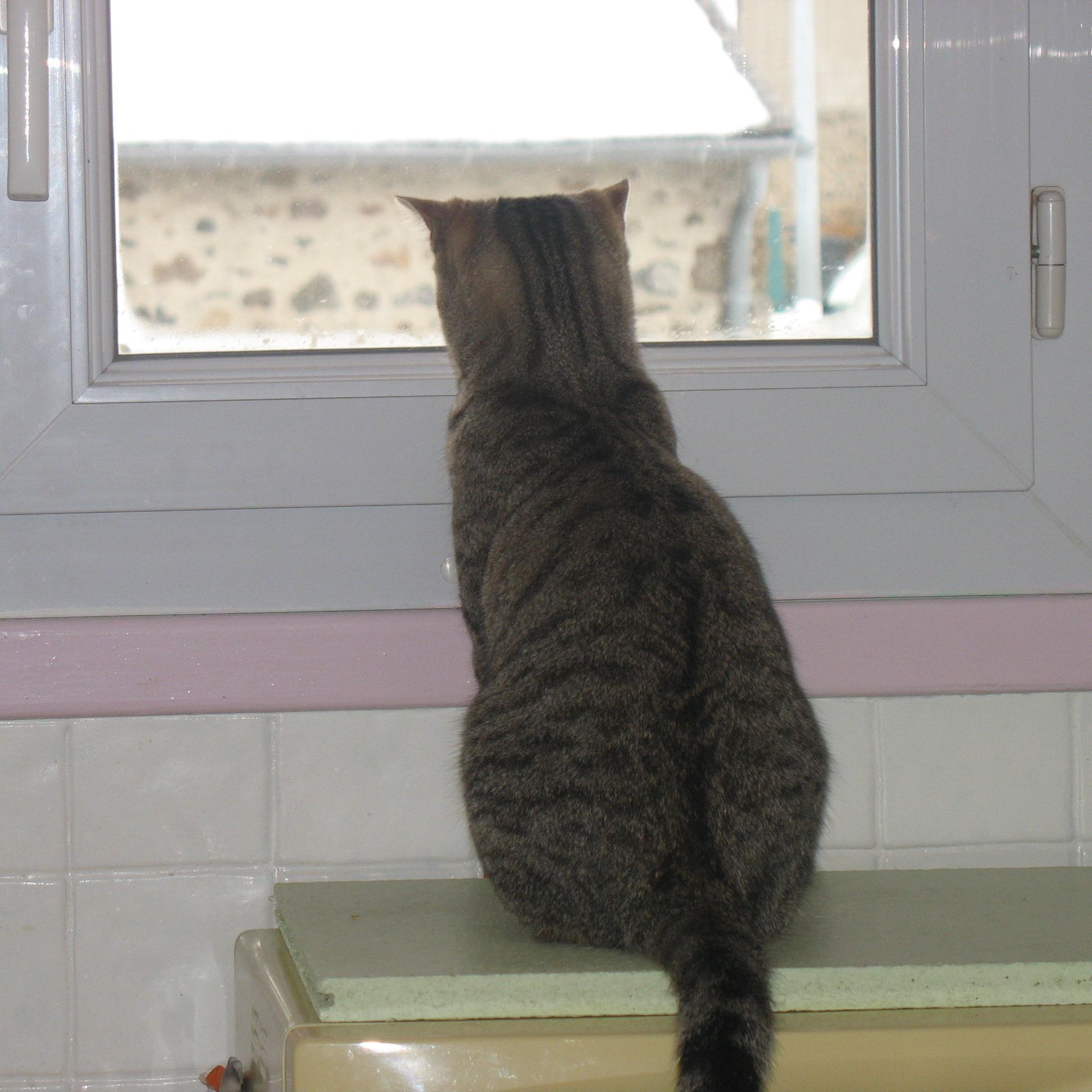 christianffeu's profile picture. retraité aime la famille,le sport, la musique, les technologies modernes .