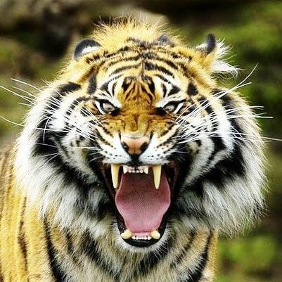 대한민국 진격❗
조작질 와해 분탕 세력은 어느 누구든 척살❗