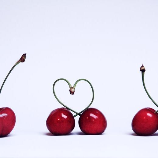 petmcg1's profile picture. 