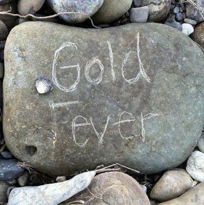 mrtim4gold's profile picture. Gold Prospector & YouTube Producer