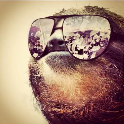 Moultare's profile picture. We'll get to that later, pal.