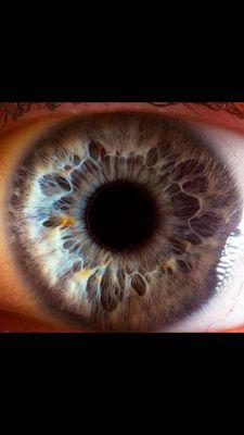 berla456's profile picture. 