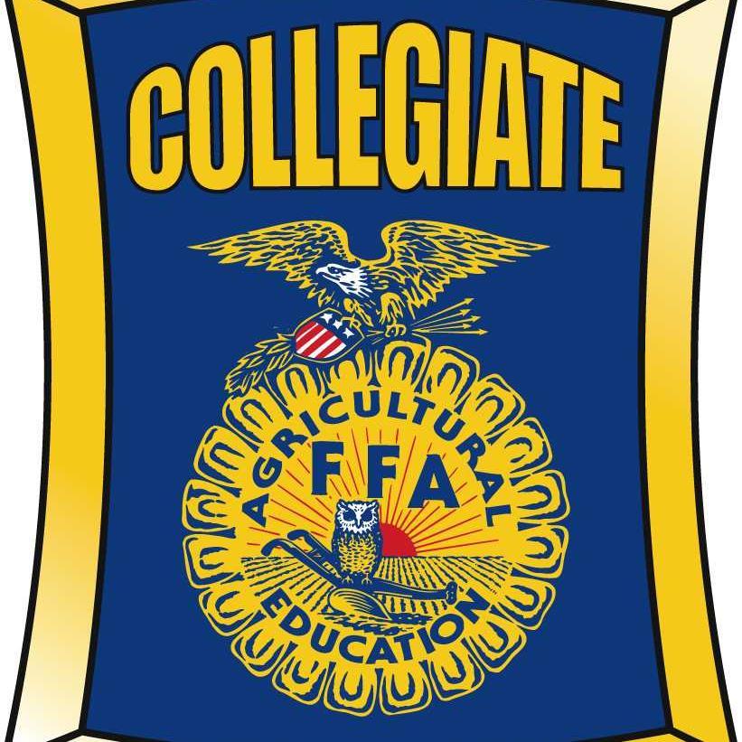 UFCFFA's profile picture. 