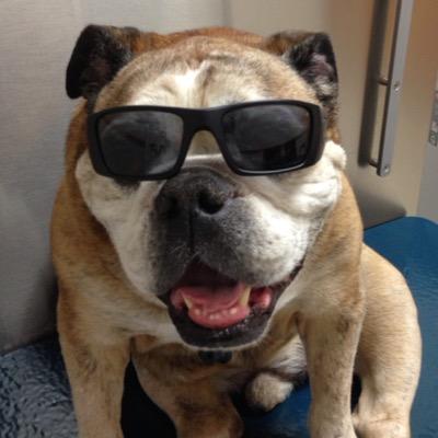 migman58's profile picture. Father, husband, #GirlDad, fan. 49ers & Heels. American Outlaw & a GFOP. The Ceiling is the roof.