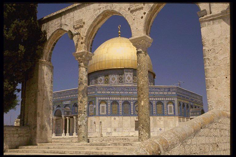 فلسطيني وافتخر