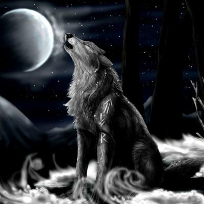 DarkmoonWolf01's profile picture. Hello i am Ray im trying to be a youtuber but i dont have the stuff to do it so i just want to play with players on Xbox 360 my gamertag is PrimalRohrer. :)