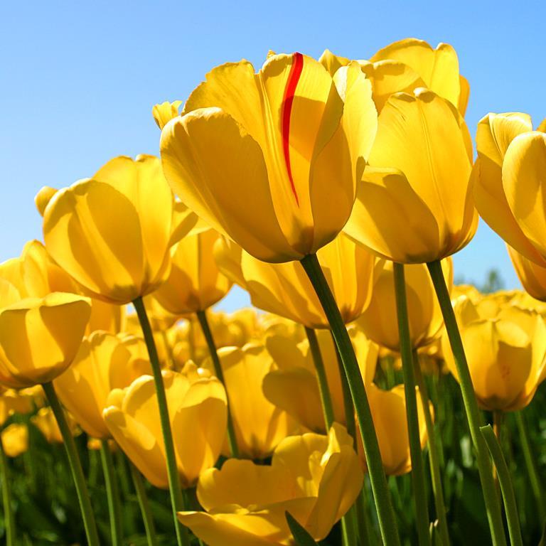 omg_dreamcatch's profile picture. Just a girl tweeting her thoughts