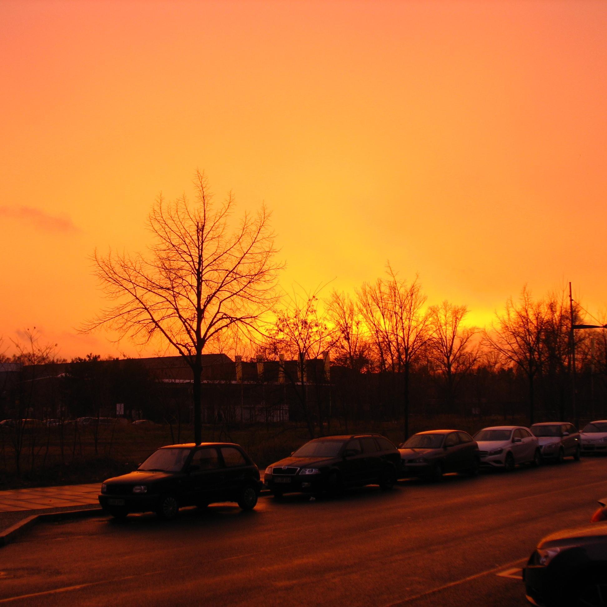 randyfright69's profile picture. Ich liebe die Realität genauso wie Tagträume o. nächtliche Fantasien mit Feenstaub ♂