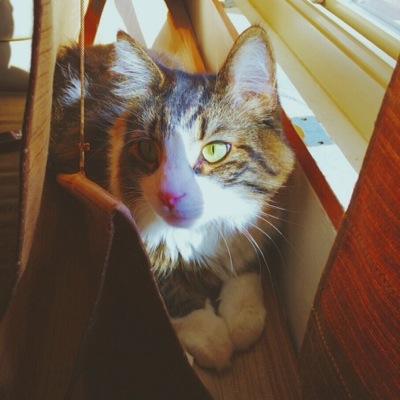 WillSchmelter's profile picture. 