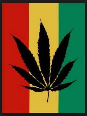 marihuana|amfa |hera
