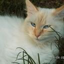 Sonya Post - @SonyaPost - Twitter