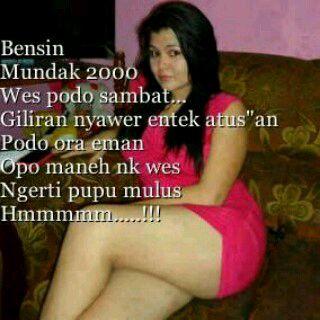 Ceker mania