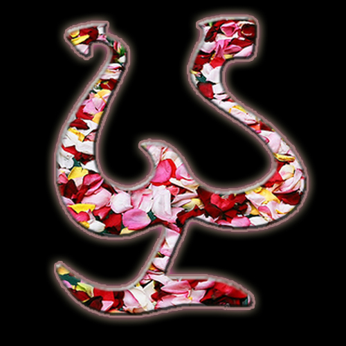 LaChaparrita's profile picture. Parte del equipo digital de @PepeAguilar.  ¡Sígueme para info de conciertos, concursos, y más! Follow me for tickets, behind-the-scenes, and more!