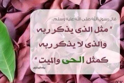 آللّهُمَّ صّلِ وسَلّمْ عَلۓِ سَيّدنَآ مُحَمد ﷺ《《 حسابي ب الستقرام maroom_501