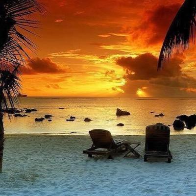 cpilavcii's profile picture. 