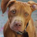 Sasha Ritchie - @SashaRitchie11 - Twitter