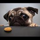 ollie webber - @minibubz21 - Twitter