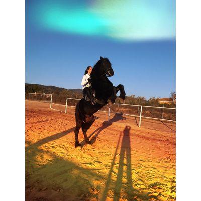 alicia_ibi's profile picture. PAULA MIRA♡♥