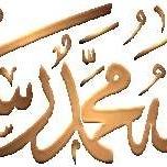 ‏‏‏ ، أبحث عن الحياة الكريمة للمواطن العربي البسيط، إذا كان هناك من يعتقد  أن الحكام مشكلة، ف لشعبونا عدة أمراض عليها العمل  ل اصلاح نفسها