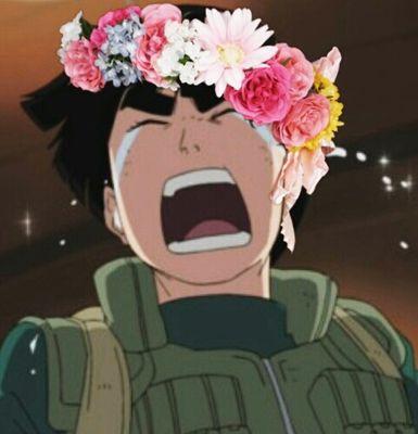 Yosh! I am Rock Lee, the Beautiful Green Beast of Konoha, and a dedicated taijutsu master! The flames of youth will forever burn brightly!  {{RP}}