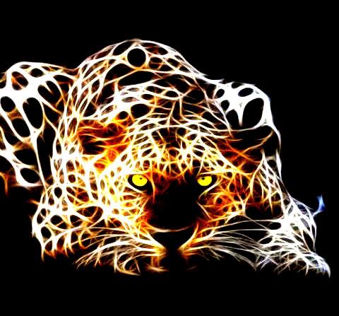 hsdpv17671611's profile picture. aburrido