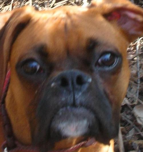 1treeo98's profile picture. 