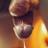 horny_ro's profile image