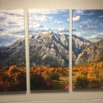 choir_ths's profile picture. Timpanogos Chamber ensemble.