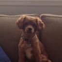 Marcus Chappell - @chappelli1234 - Twitter