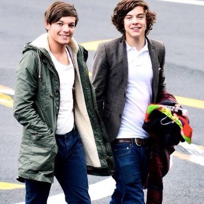 THIS IS A FREE FOLLOW, PLEASE FOLLOW @LarryNotHouis (sorry if I follow and you don't ship Larry, I follow randomly)