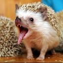 Declan Kiely - @kielys - Twitter