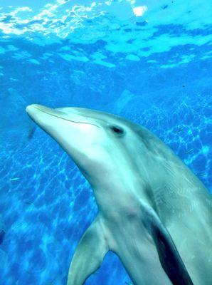 かどさんのプロフィール画像