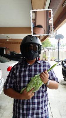 azhar_azman1's profile picture. ..Fight for Your Right..
Peace Love Harmony