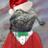 Iizard_Patrol's profile image