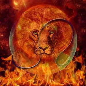 eldamy08's profile picture. 