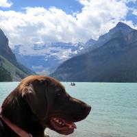 Iain Martin (@iainmartin3) 's Twitter Profile Photo