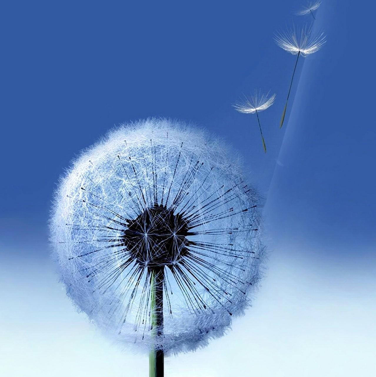 VhieLuvie's profile picture. I'm Moeslem, Midwife. Keindahan cinta adalah kesetiaan.