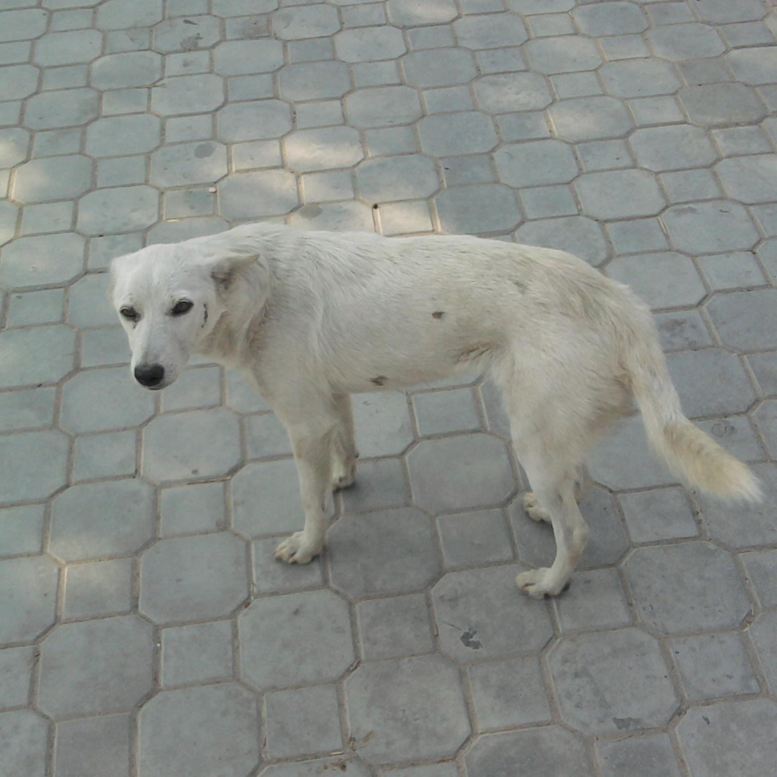 timrobbins1111's profile picture. 